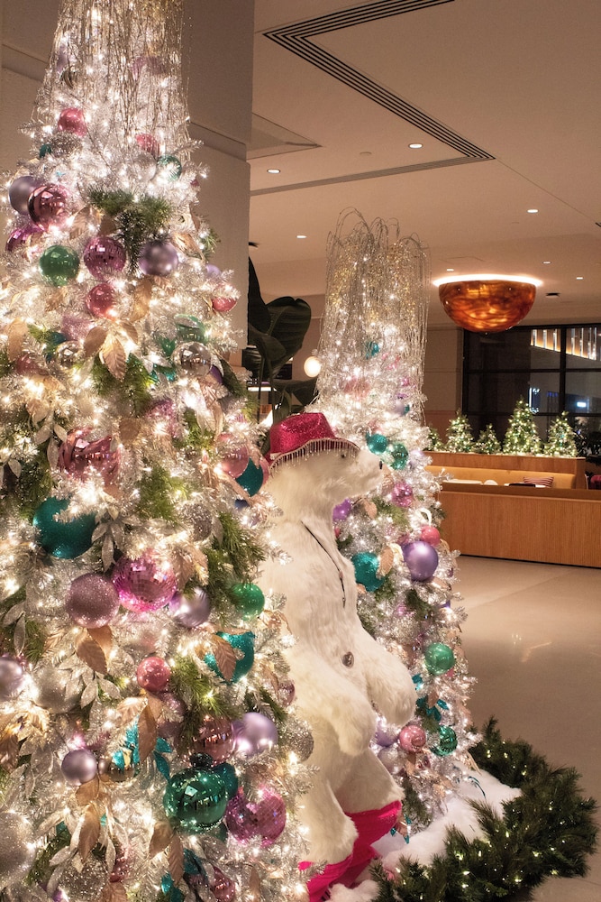 Downright Austin A Renaissance Hotel - photo 3