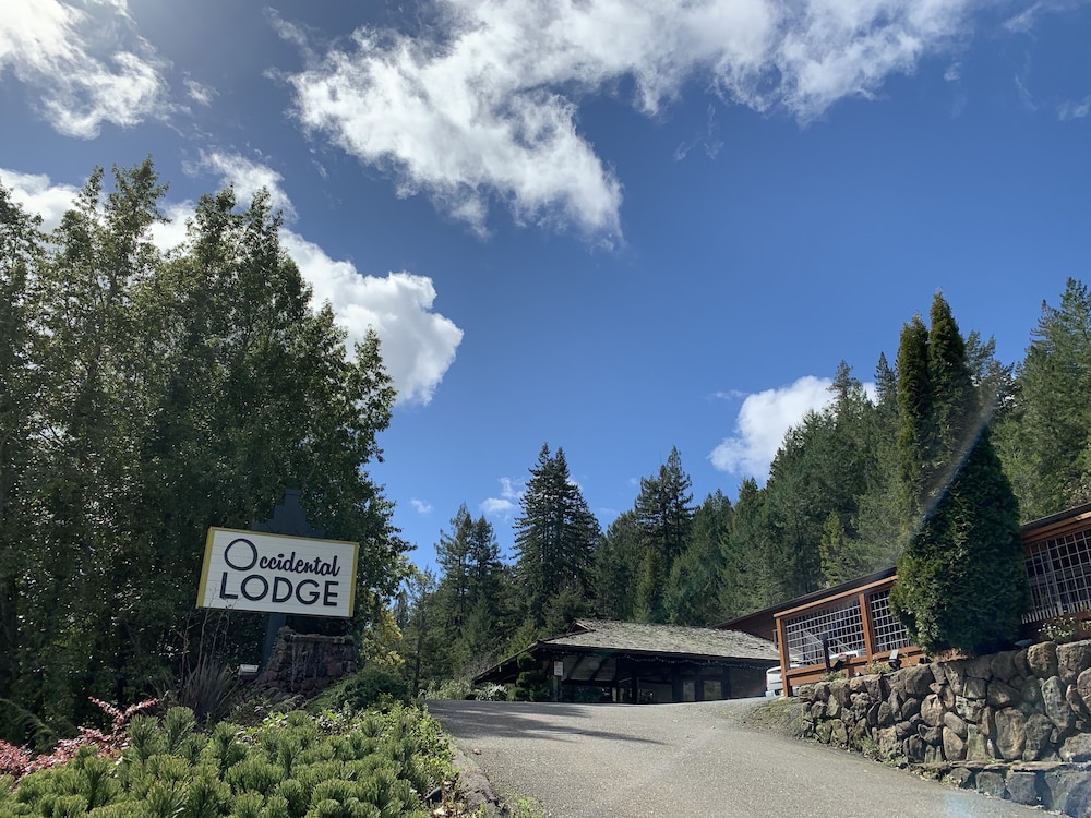 The Occidental Lodge - photo 44