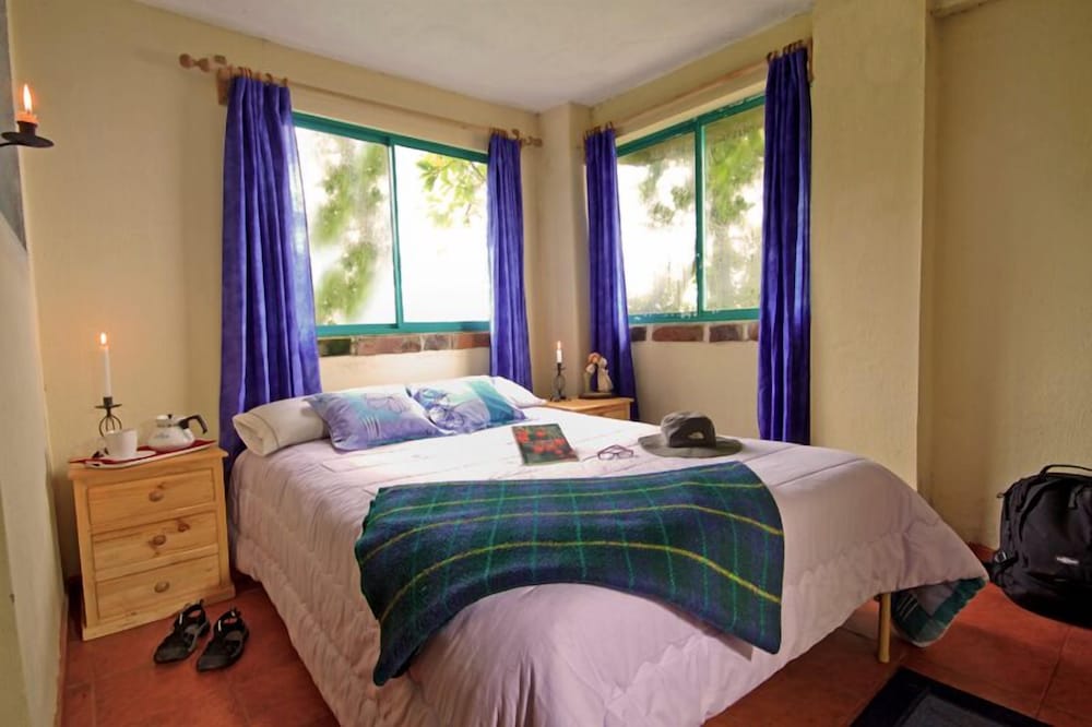 Bomboli Cloud Forest in Unknown City, Ecuador