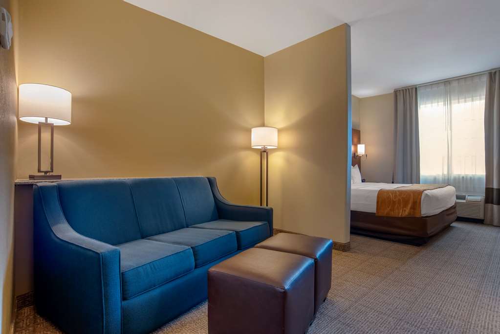 Comfort Suites Alexandria North - photo 8