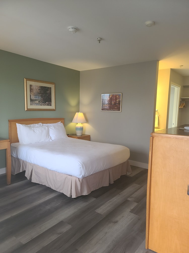 Tulip Inn - photo 23