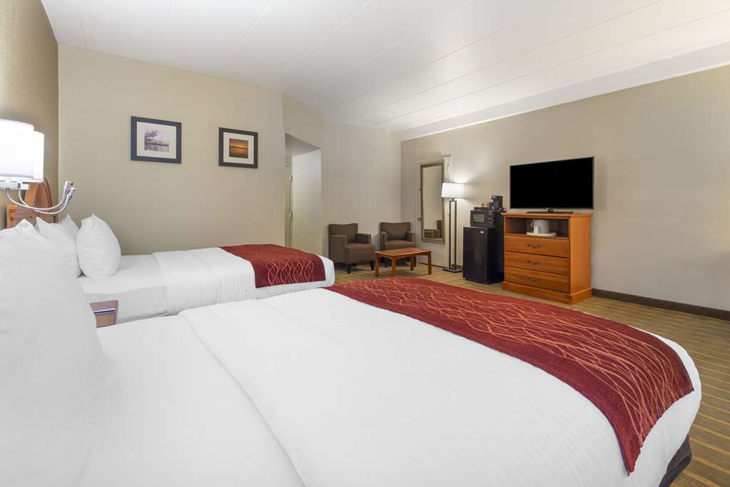 Comfort Inn University Center - photo 19