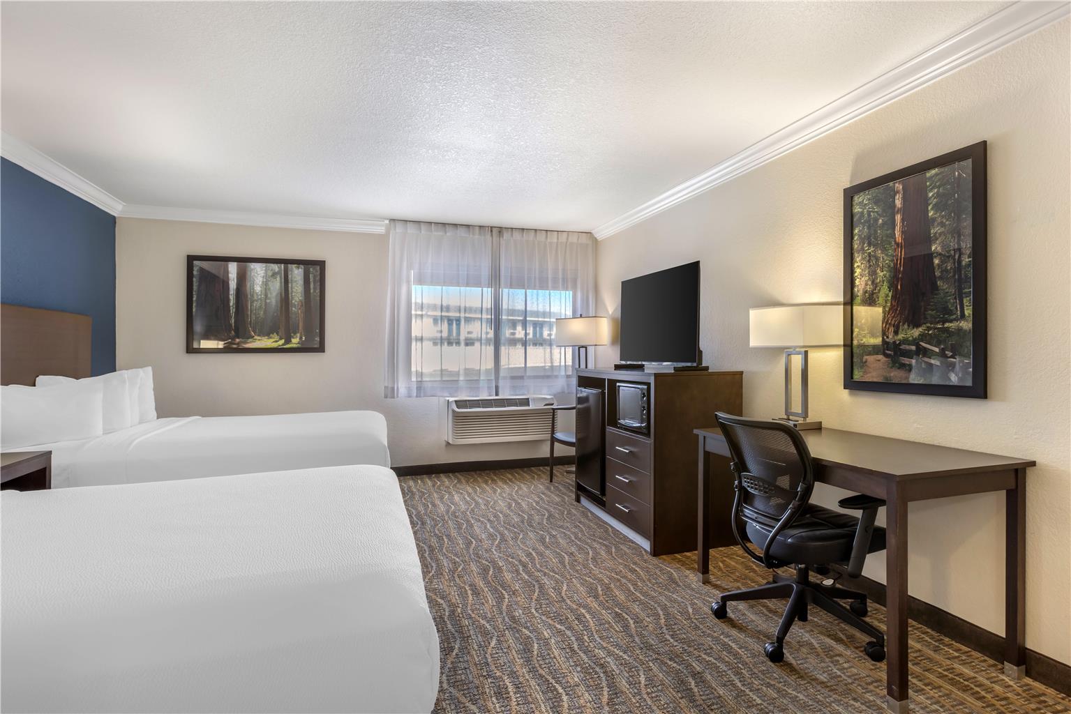 Best Western Town & Country Lodge - photo 24