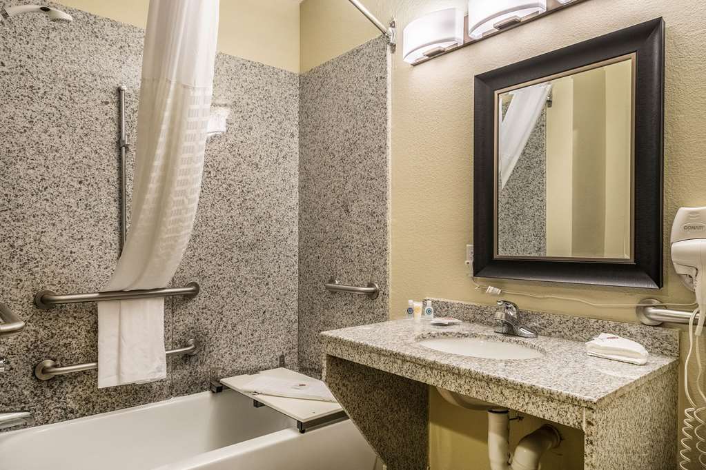 Comfort Suites Near Texas State University - photo 6
