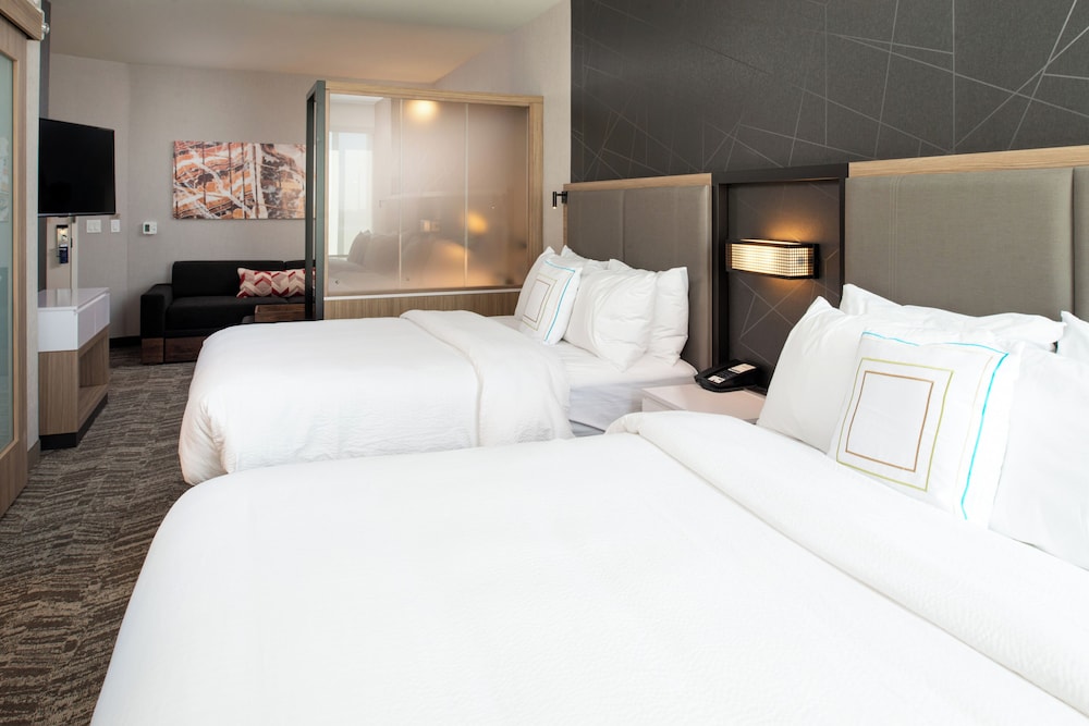 Springhill Suites Kansas City Northeast - photo 6