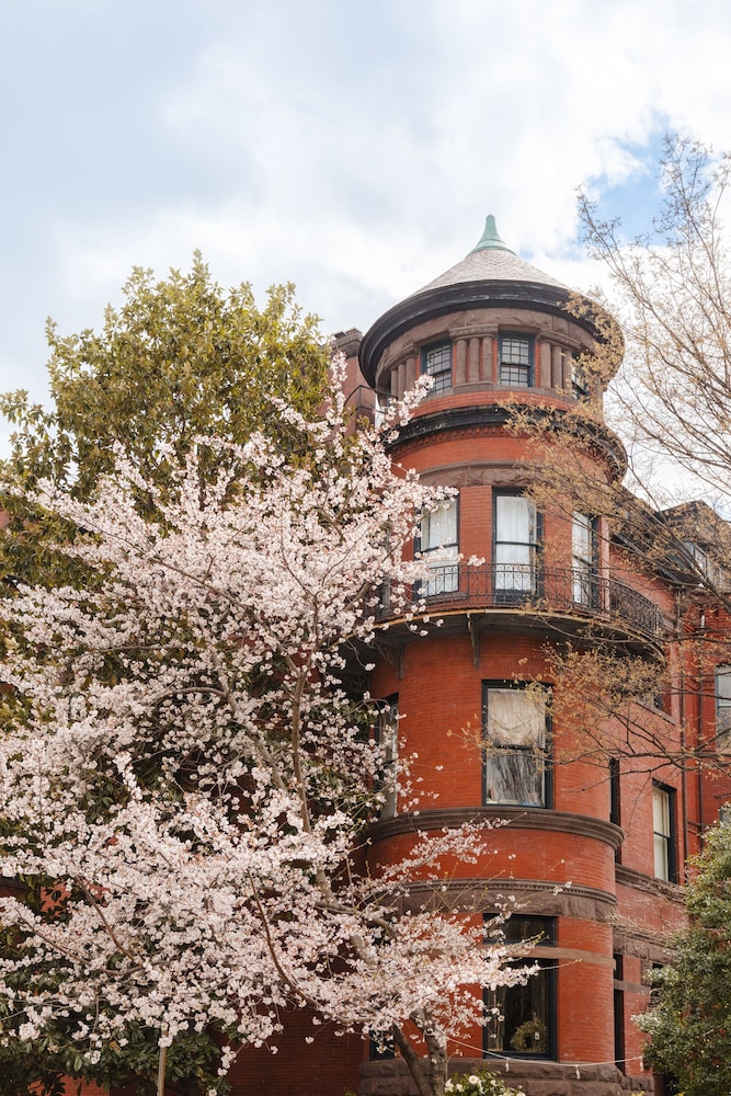 Found Dupont Circle - photo 21