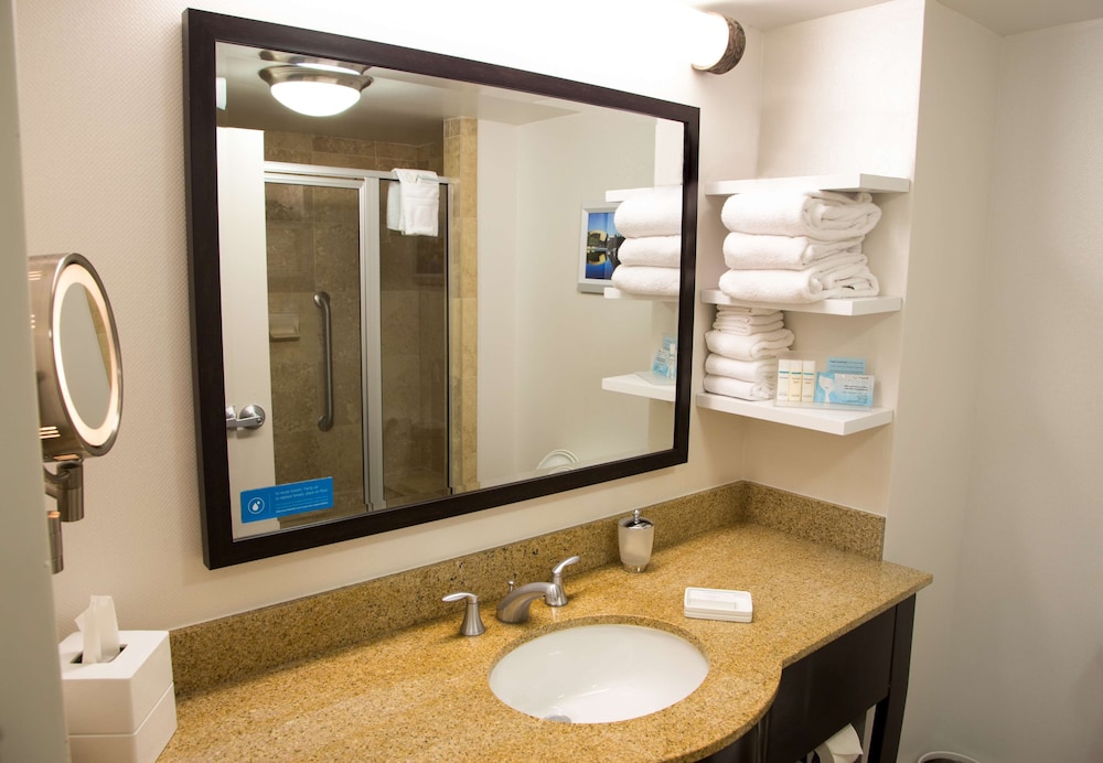 Hampton Inn & Suites Albany Downtown - photo 29