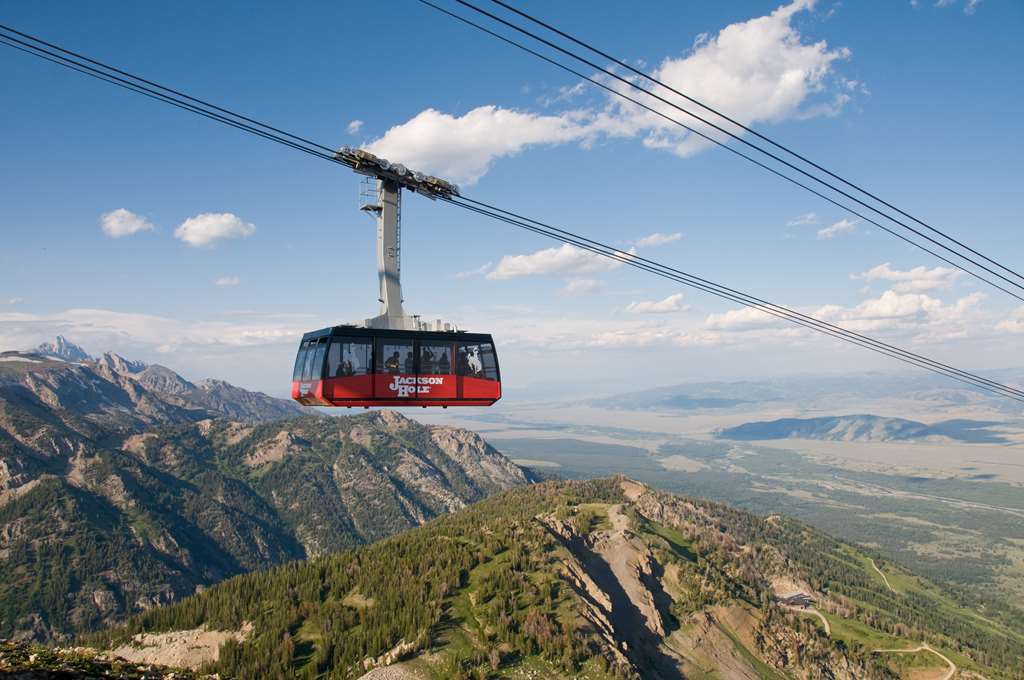 Hotel Terra Jackson Hole - photo 27