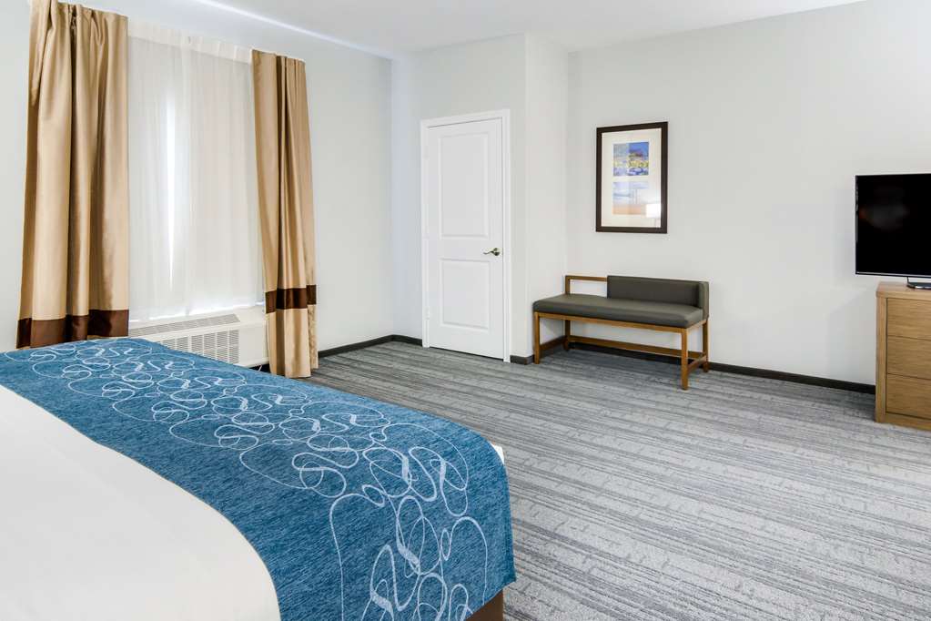 Comfort Suites DeSoto Dallas South - photo 23