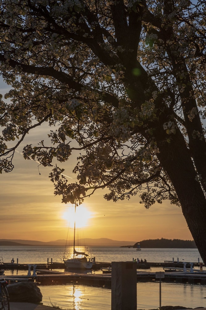 DoubleTree by Hilton Burlington Vermont - photo 65