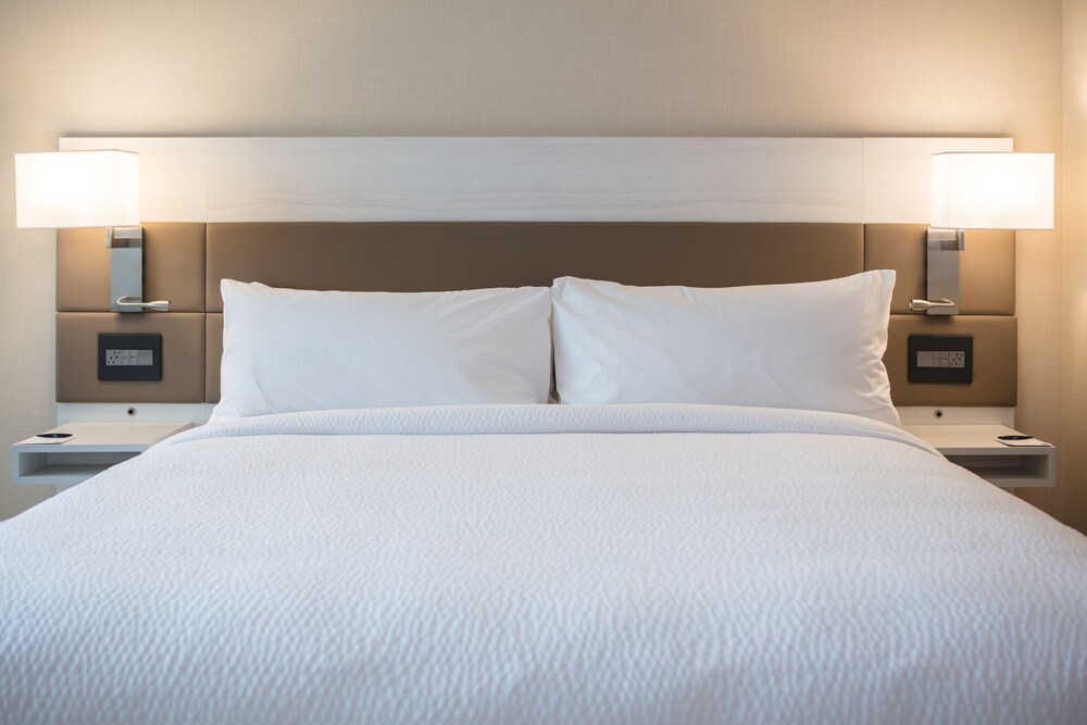 AC Hotel by Marriott San Jose Downtown - photo 5