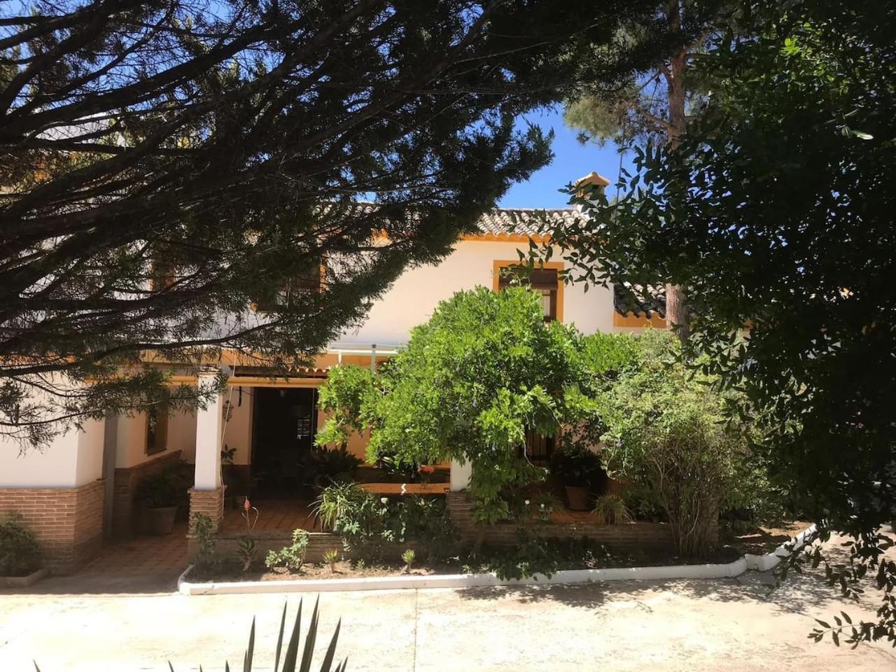 Paredejas Del Rey — Priego De Cordoba