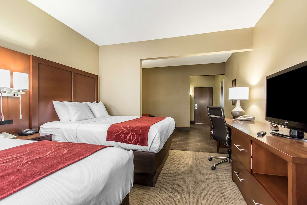 Comfort Suites Effingham Central - photo 12