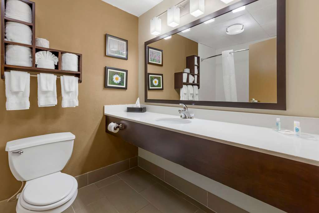 Comfort Suites Regency Park - photo 7