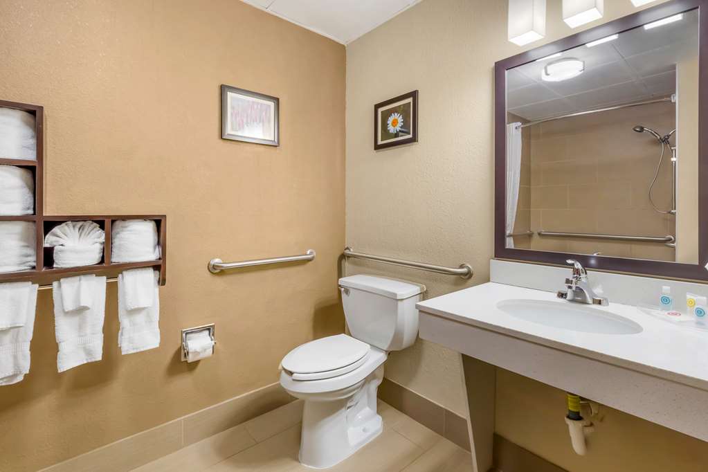Comfort Suites Regency Park - photo 10
