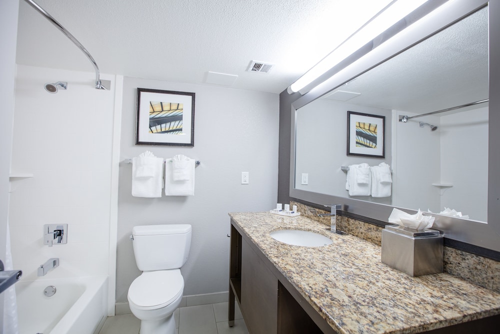 Holiday Inn St Louis SW Route 66 - photo 28