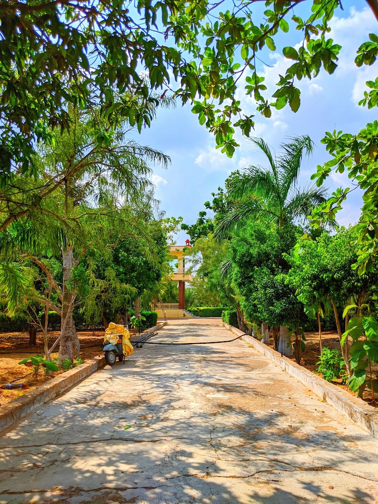 Nurture by Madpackers in Ajmer, India