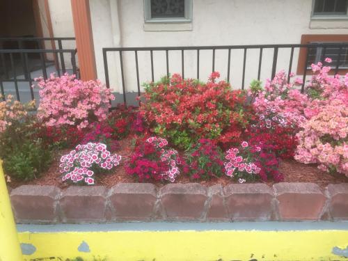 Royalinn & suites - photo 22