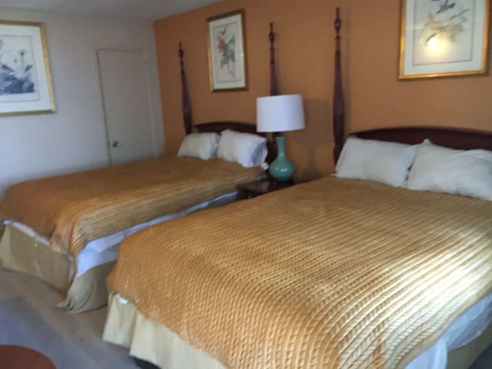Pelican Inn and Suites - photo 3