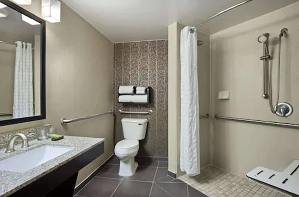 Embassy Suites by Hilton St. Louis Airport - photo 33