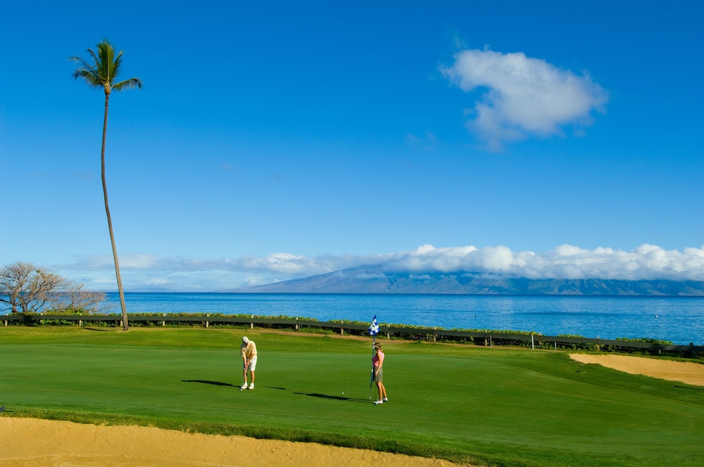 Kaanapali Ocean Inn - photo 29