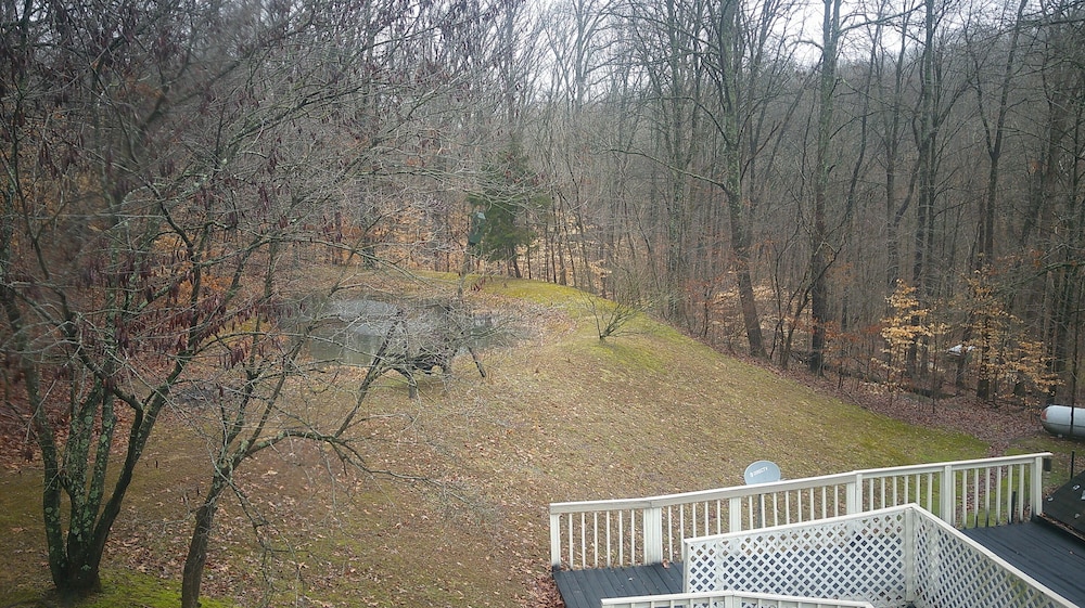 Lil Black Bear Inn - photo 147