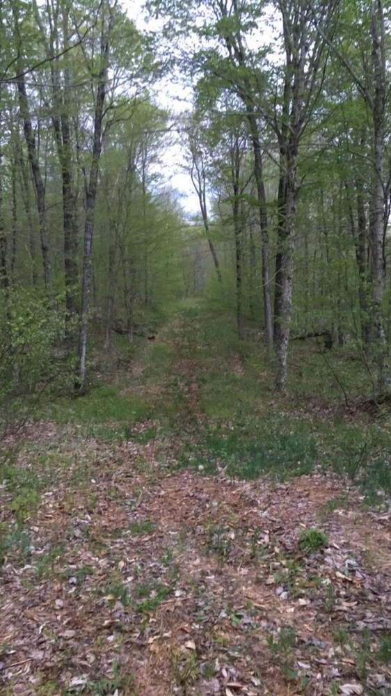 Tug Hill Resort - photo 44