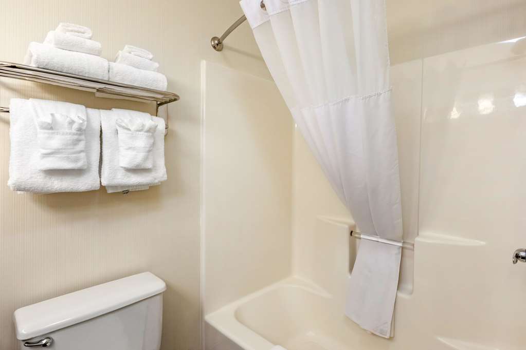 Quality Inn & Suites University Fort Collins - photo 23