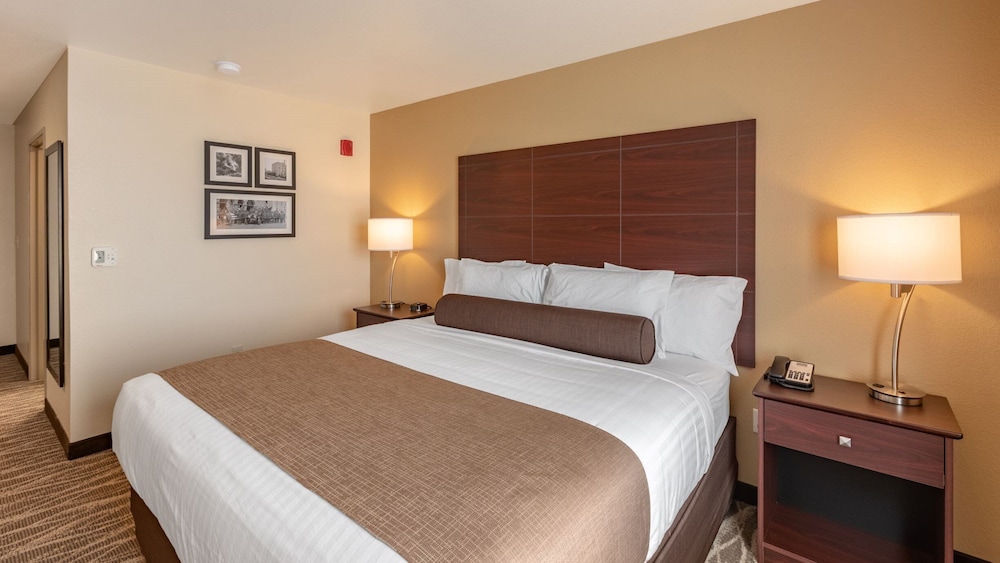 Cobblestone Hotel & Suites Hartford - photo 29