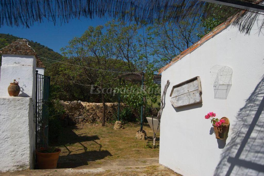 Finca la Vicacaria Limonero — Zufre — photo 5