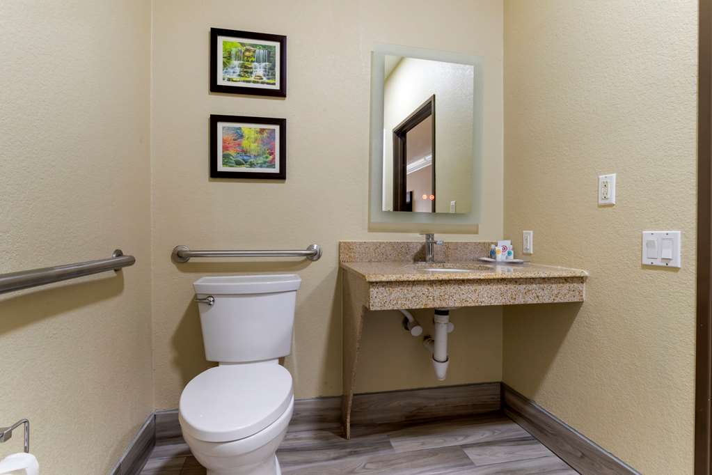 Comfort Suites Kingwood Houston North - photo 12