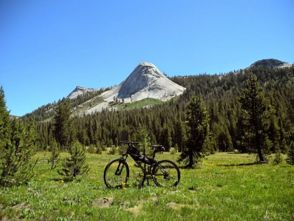 Willow Springs Resort - photo 17