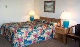 Royal Motor Inn - photo 8