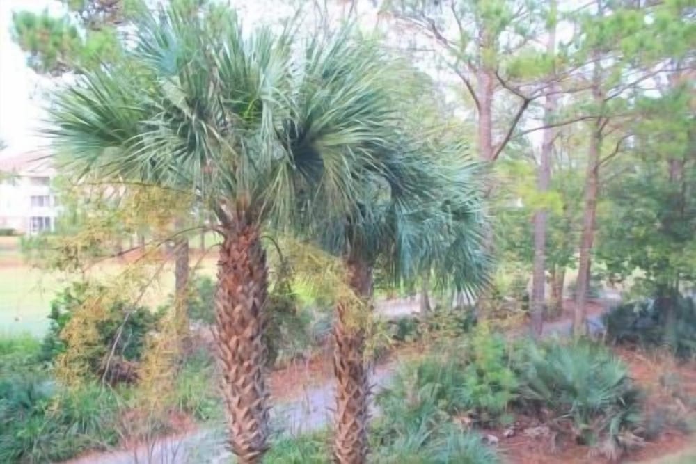 522 Cypress Bend - photo 13