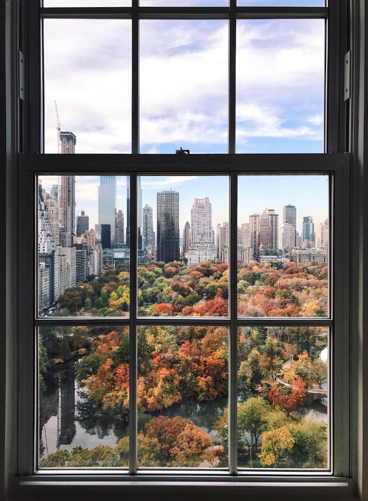 The Pierre A Taj Hotel New York - photo 19