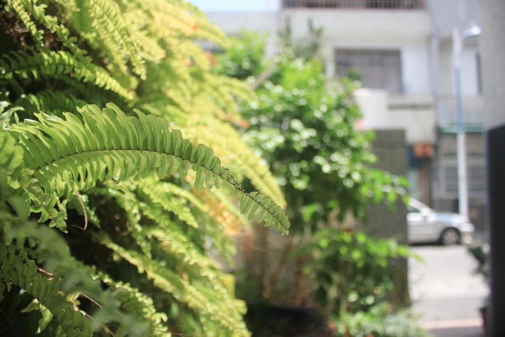 Breakfast Coffee Taoranju in Taitung, Republic of China Taiwan