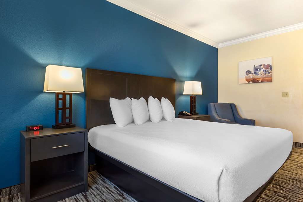 Best Western Dinosaur Valley Inn & Suites - photo 11