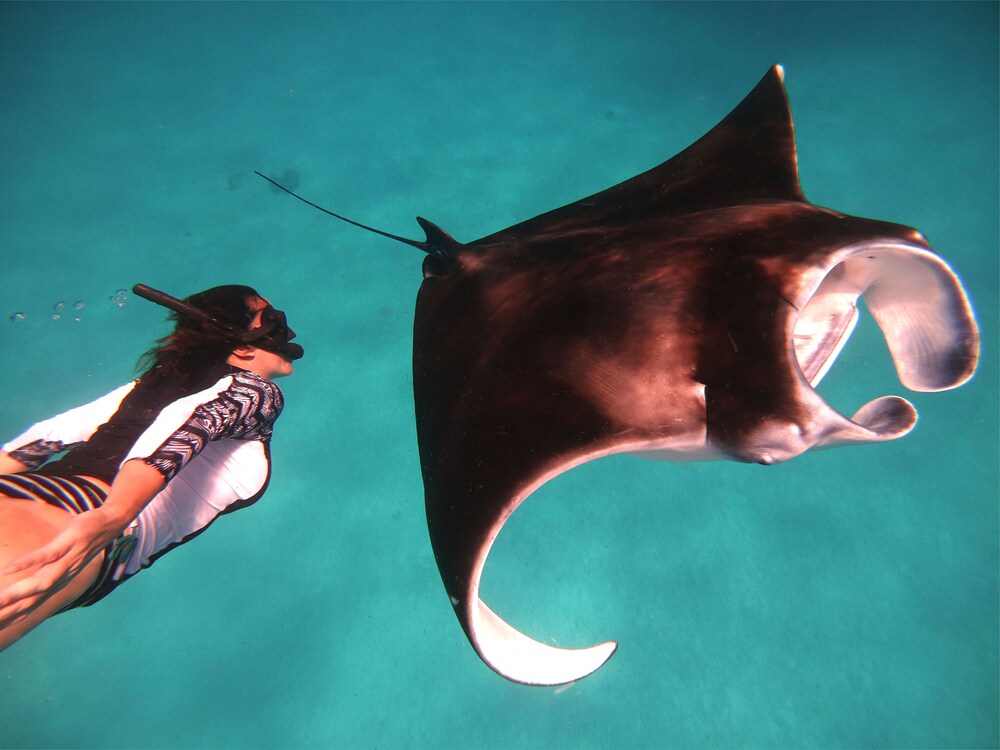 Children’s Activities