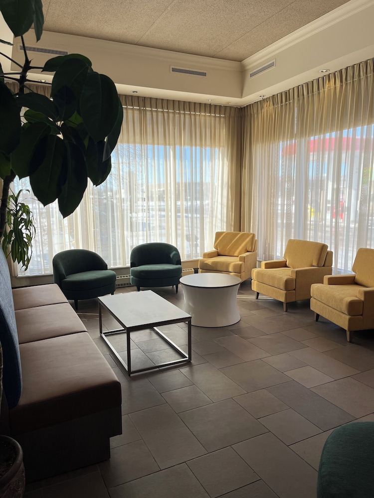 Hotel L’Oie des neiges — Levis — photo 3