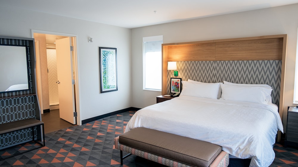 Holiday Inn and Suites Philadelphia W Drexel Hill - photo 35