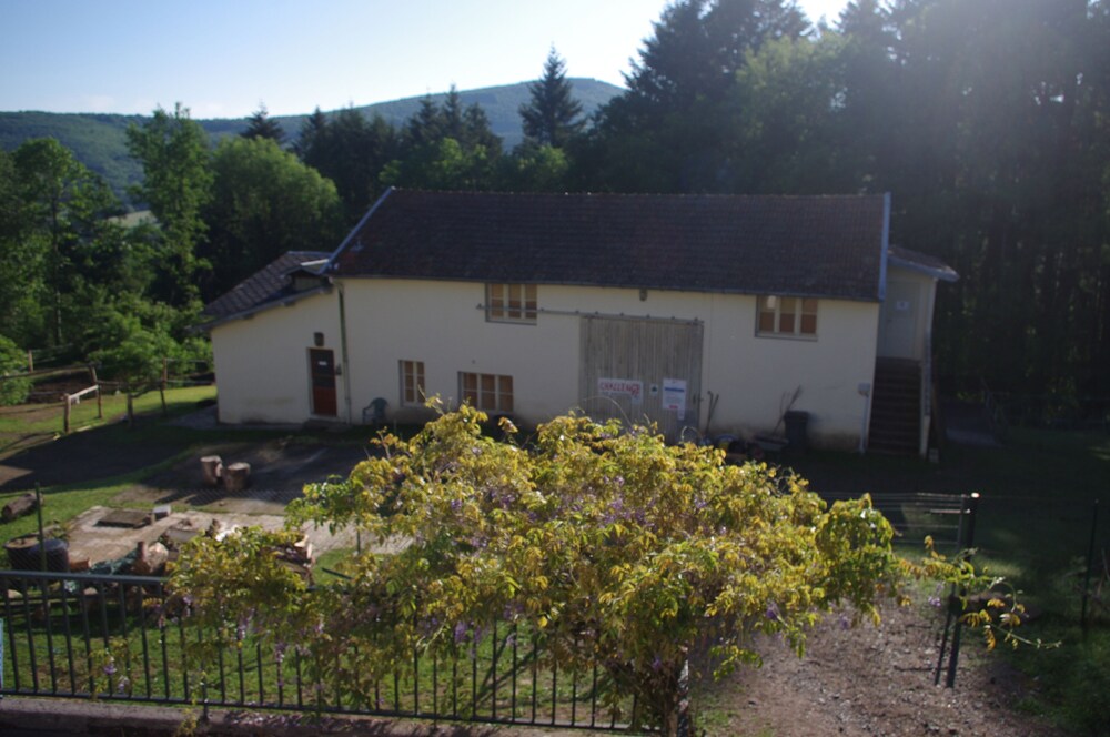 Equin Ox Ferme Equestre — Saint Clement