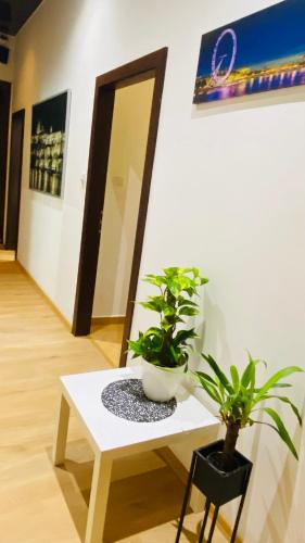 Hotel Apartment in Prague 2 Square - last minute hotel in Prague