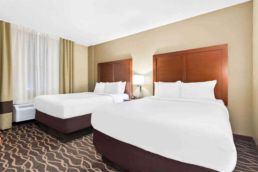 Comfort Suites Tampa Airport North - photo 11