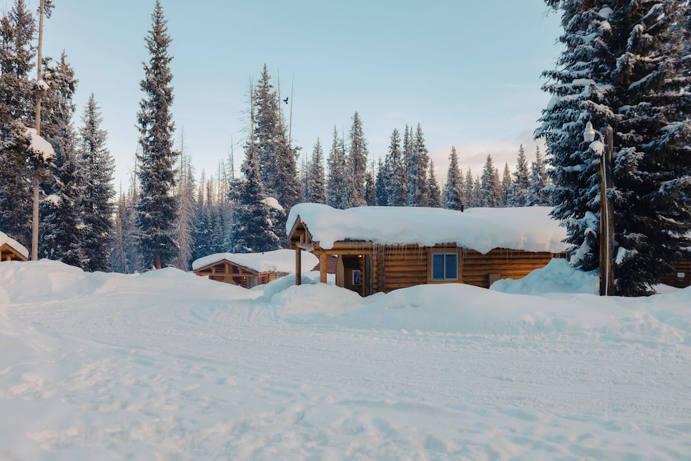 Togwotee Mountain Lodge - photo 45