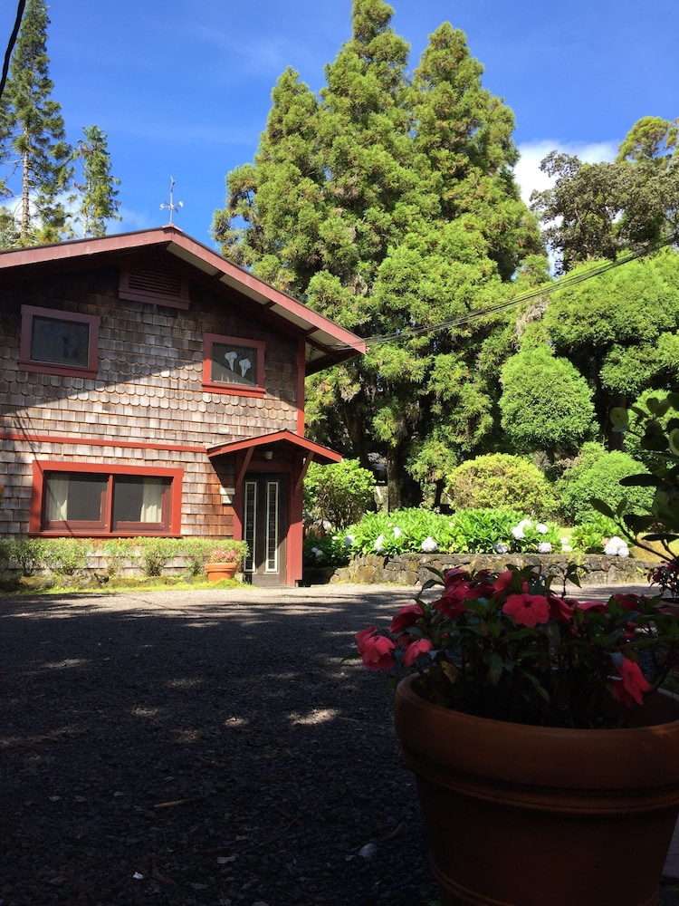 Volcano Village Estates - photo 44