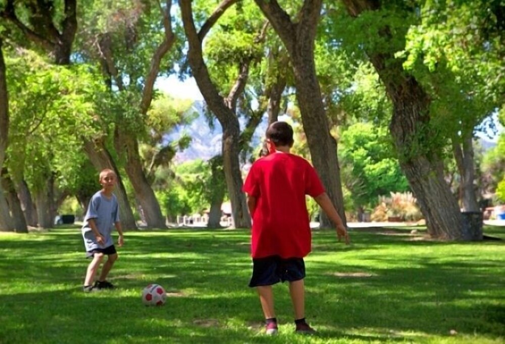 Soledad Canyon RV & Camping Resort - photo 19