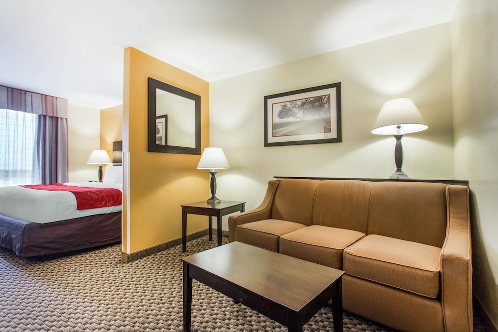 Comfort Suites Clinton near Presbyterian College - photo 20