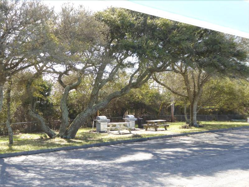 Swell Motel - photo 128