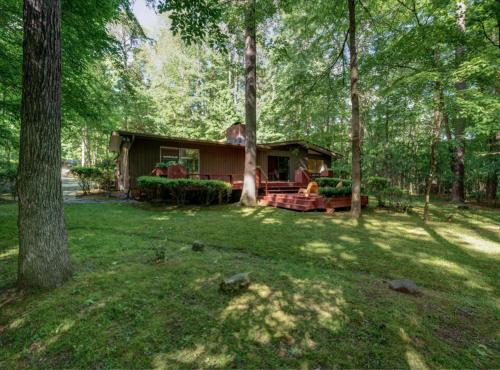 Mid Century Designer House Large & Unique — 4-Star Luxury Hotel in Chapel Hill, United States