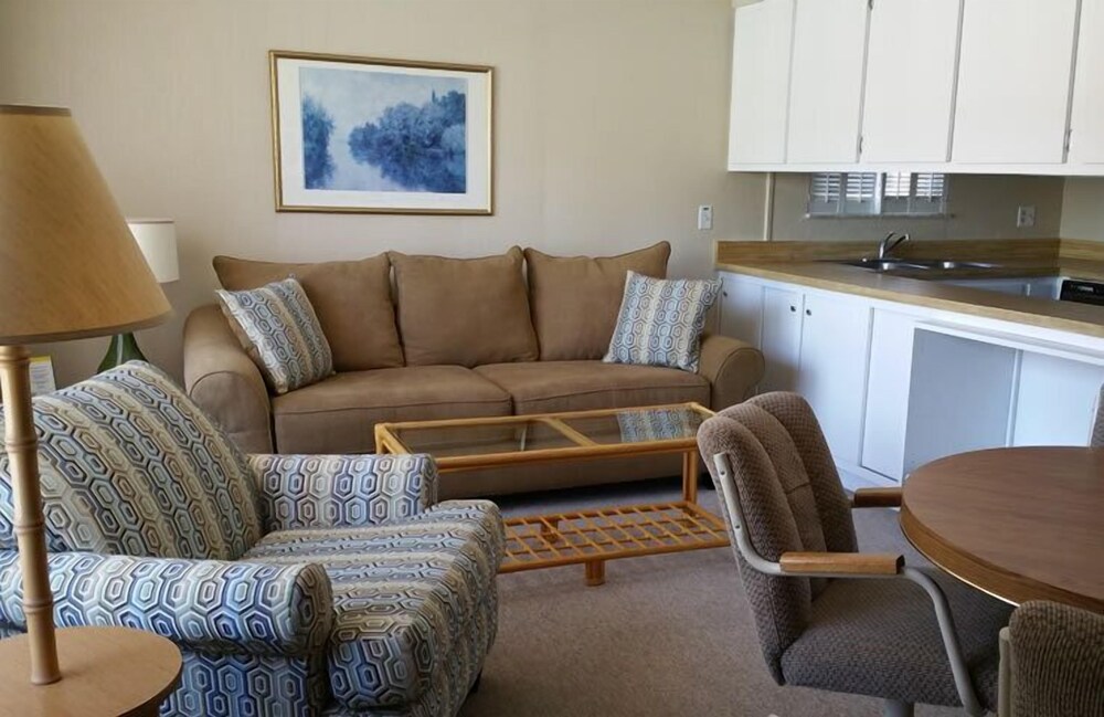 Palm Terrace - photo 31